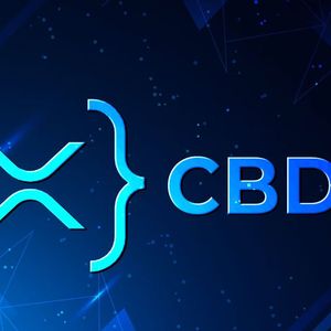 Ripple Advisor Sheds Light on Private XRP Ledger and CBDC Projects