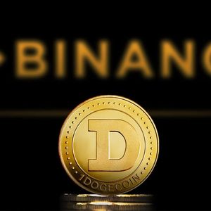 Tens of Millions of Dogecoin Moved From Binance As DOGE Strives to Overcome $0.07