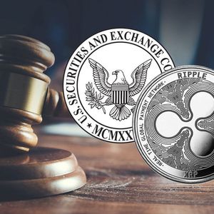 Ripple vs SEC: Expert Shares Key Takeaways from Judges' Ruling on Testimony Admissibility