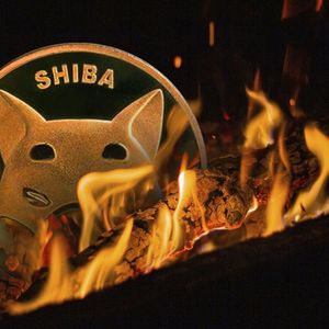 SHIB Burn Rate Whopping 27,954% Up, Billions Of Shiba Inu Go Up in Flames