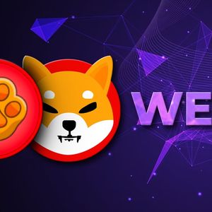 Shiba Inu-Supporting PAW Added by First Web 3.0 Exchange, Deposits Suddenly Suspended