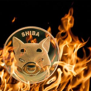 Shiba Inu Burn Machine Has No Effect On 590 Trillion SHIB Supply, Data Shows