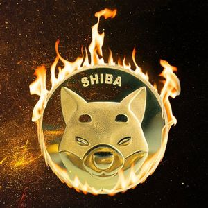 Shiba Inu (SHIB) Burn Rate Up 2400%, Here's How Price is Reacting