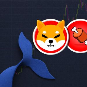 Major Shiba Inu’s BONE Whales Increase Holdings After Shibarium Beta Release