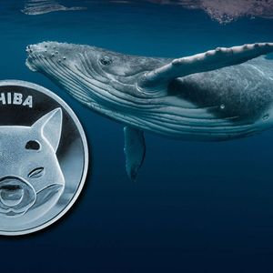 Shiba Inu (SHIB) Whales Are Waking Up, Data Shows