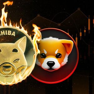 SHIB Burn Rate Jumps 1,318% After PuppyNet Launch – Half Billion Shiba Inu Gone In Single Burn