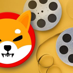 Lead of Shiba Inu Might Be In Search of Actress for Shiba Movie, This SHIB Enthusiast Hints