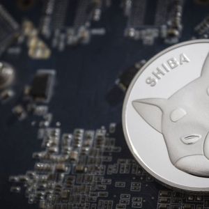 $270 Million Shiba Inu (SHIB) Moved From Major Exchange, CEO Explains What’s Happened