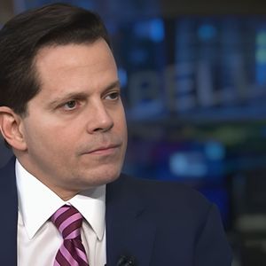 Scaramucci on Crypto Regulation: “It Cannot Be Just SEC”