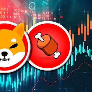 Shiba Inu Rival SHIBONE INU Up 57%, Here's Why this Growth is Different
