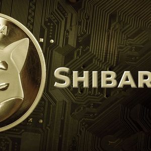 Shibarium Beta Releases Public Documentation: Here's What You Need to Know