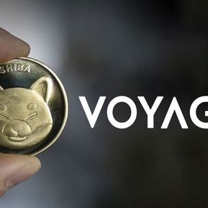 Voyager Gets $610 Million from Selling Shiba Inu, ETH and VGX