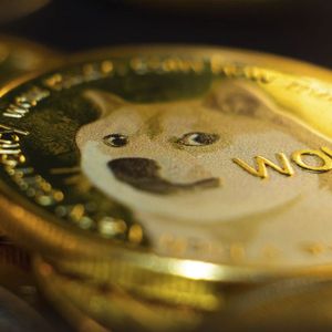 350 Million Dogecoin Purchased As DOGE Price Drops, Giving Chance to Buy the Dip