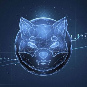 Shiba Inu (SHIB) Saw 700% Increase In Transactions Number: What's Happening?