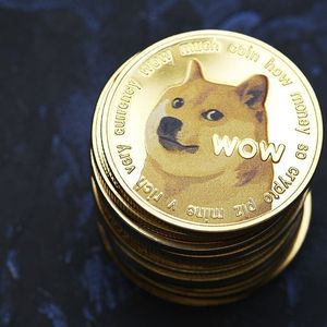 DOGE Co-Founder Reveals How Much Dogecoin He Owns