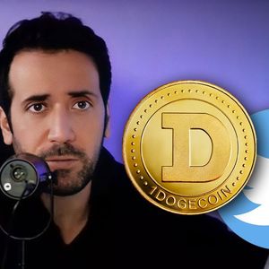 David Gokhshtein Teases Dogecoin Community With this Tweet