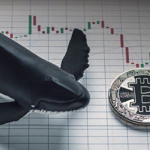Half Billion USD in Bitcoin Moved By Anon Whale, Data Suggests Their Real Name