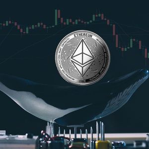 Mysterious Investor Scoops up $50 Million in Ethereum (ETH), What's Their Next Move?