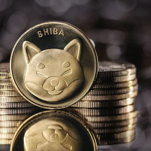 Around $1 Billion Shiba Inu (SHIB) Moved In One Day, But What's Really Behind Those Transactions?