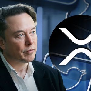 Elon Musk’s Tweet Grabs XRP Community’s Attention, Here’s What He Tweeted