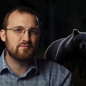 ADA Price Takes Dip After Cardano Founder Unveils Bear Statue