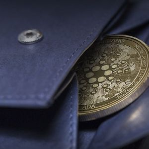 Cardano (ADA) Launches Lace, its First Light Wallet Platform: Details