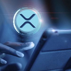 Close to Half Billion XRP Shoveled by Anon Wallets As Price Keeps Holding in $0.5 Range