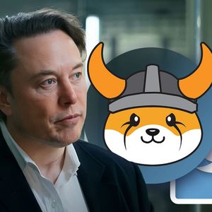 Elon Musk Says "Floki" Took Twitter Over, Guess What Happens With Floki Inu (FLOKI)