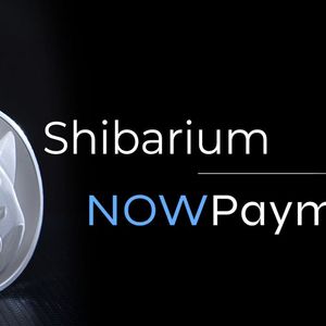 Shibarium and NOWPayments Join Forces: Shiba Inu (SHIB) Lead Dev Approves