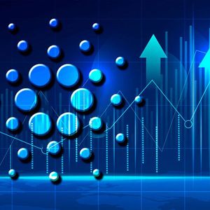 Cardano (ADA) Whales on Radical Move as Network Activity Heats Up: Details