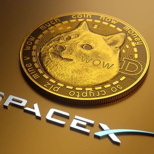 Dogecoin (DOGE) Price Rebounds as SpaceX Confirms: 'Everything Is Good'