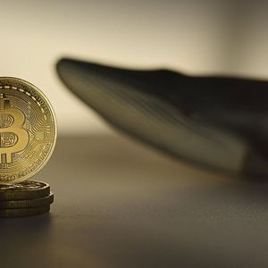 Satoshi Era Bitcoin (BTC) Whale Wakes Up and Makes $60 Million Move