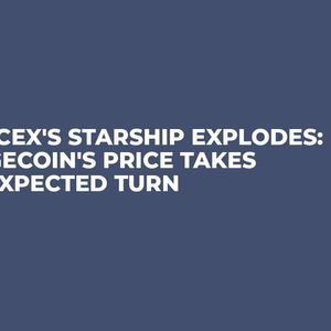 SpaceX's Starship Explodes: Dogecoin's Price Takes Unexpected Turn