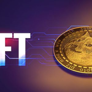 DOGE Founder Slams NFT Investors As Mentally Ill, Here’s Why