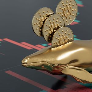 Cardano (ADA) Whales Now Control Only 8% Of Coins Supply