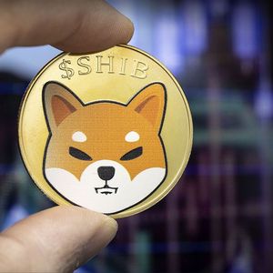 Shiba Inu (SHIB) Falls On Solid Support Level: Here Are Next Moves
