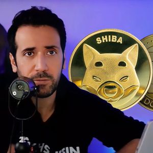 SHIB, DOGE & PEPE: David Gokhshtein Shows Off His Meme Coin Bag