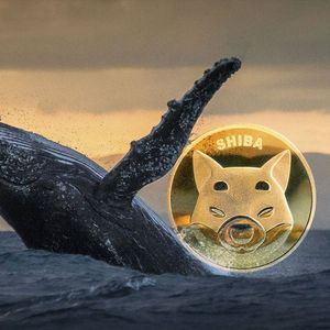 Billions of SHIB Sold by Whales on These Top Exchanges As Price Rises 3%