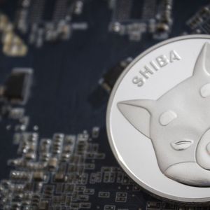 New Shiba Inu (SHIB) Support Announced by This Crypto App: Details