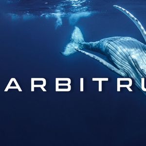 4.5 Million Arbitrum Bought by Whale as ARB Dips