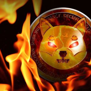 Shiba Inu (SHIB) on the Spotlight as Burn Rate Jumps 1400%, Here is the Implication for Price