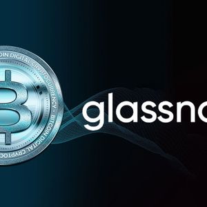 Glassnode Co-Founder: $30,000 Is Next For Bitcoin (BTC), Bears Are Wrong