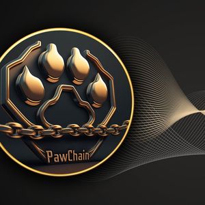 Paw Chain Team Building PAW Layer 2 Wallet: Details