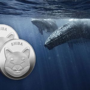 SHIB Whales Grab 33.4 Billion Shiba Inu Within 30 Minutes On the Dip