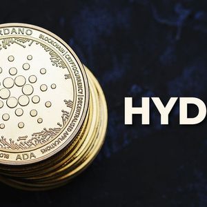 Cardano's Hydra Is Live, Here's What To Expect