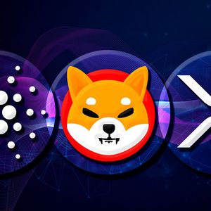 Shiba Inu (SHIB), XRP and Cardano (ADA) Now Accepted at All WordPress Stores via This Integration