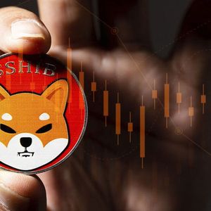 Shiba Inu (SHIB) Plummeted By 8%, Could It Spark New Rally?