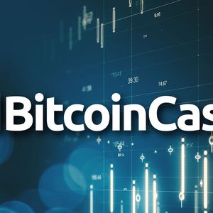 Bitcoin Cash (BCH) Up 8%, is This Growth Connected to Bitcoin?