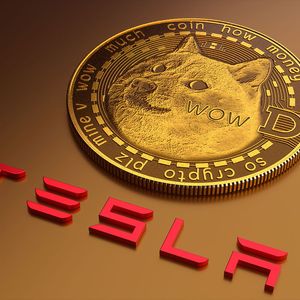 DOGE Creator Says He’d Spend $100,000 on Tesla Stock, Why Not Crypto?