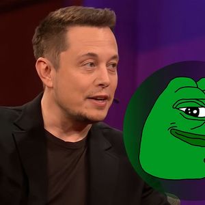 Elon Musk’s New Meme Tweet Pushes PEPE 54% Up, Whales Buy Trillions of PEPE
